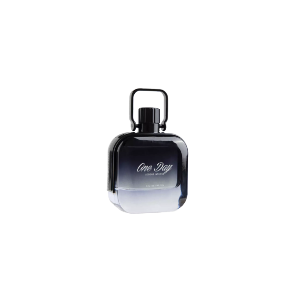 ONE DAY LEGEND INTENSE 100 ML*CRT-48